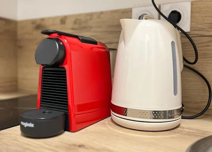 Hypercentre - Daurade - 2p Appartement